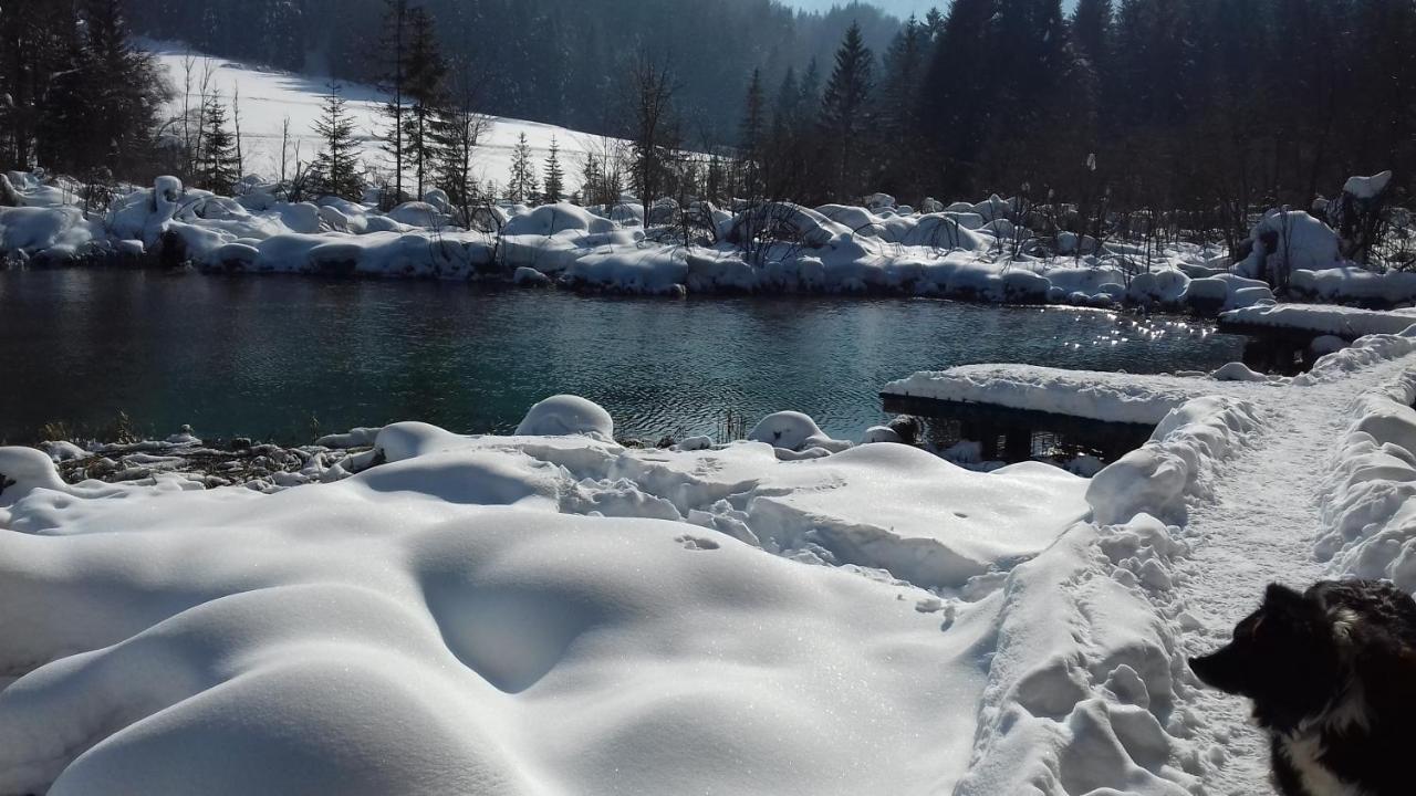 Apartma Kramar Podkoren ครานสกา โกรา ภายนอก รูปภาพ